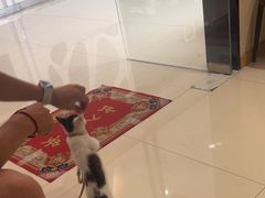 -筋骨堂热敷推拿按摩(翠华路店)