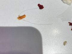 -卤校长重庆火锅(国兴店)