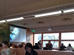 -WOKKA by艮上(中海环宇荟店)