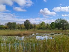 -野鸭湖国家湿地公园
