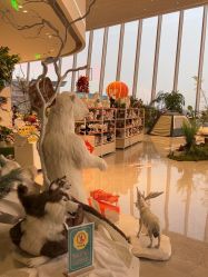 点击看大图 -IMON·HANSA潮玩玩偶毛绒玩具(通州万象汇店)