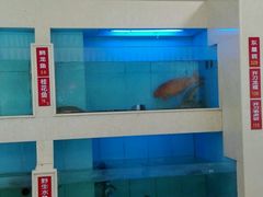 -宜宾海鲜酒家·三十年老字号