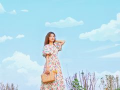 -丁香湖公园