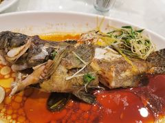 -大东海海鲜酒楼(渔人码头总店)