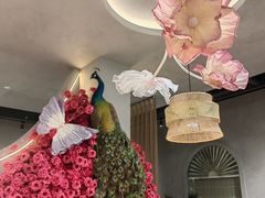 -花菇朵 ll 野生菌锅·精品滇菜(后沙峪店)