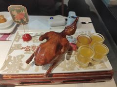 -大鸽饭(动物园店)