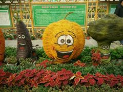 -兰陵国家农业公园