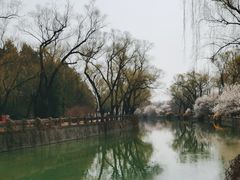 -颐和园