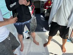 -小猫钓鱼海钓俱乐部(椰梦长廊店)