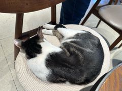 -Peet's Coffee皮爷咖啡(豫园店)