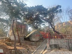-崂山仰口游览区