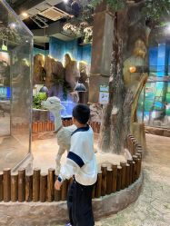 -宝燕乐园(闵行旗舰店)