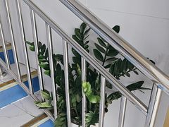 -美可普口腔医院(东街分店)