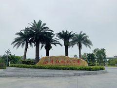 -宝安西湾红树林湿地公园