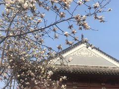 -长春观