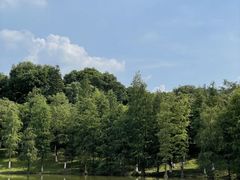 -番禺大夫山森林公园