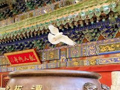 -潭柘寺景区