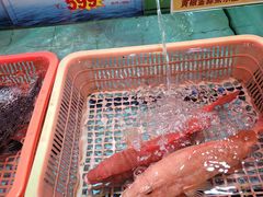 -渔民新村(番禺总店)