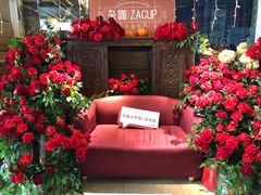 -杂咖zacup(领展中心城店)