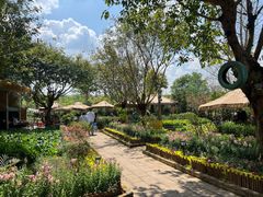 -苏记溪河鲢鱼庄(天府新区店)