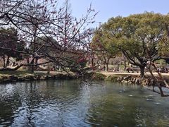 -无锡梅园公园