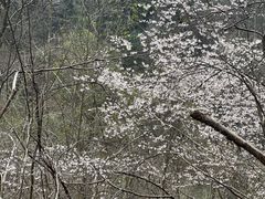 -十九峰景区-倒脱靴