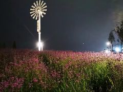 -金海湾滨江公园