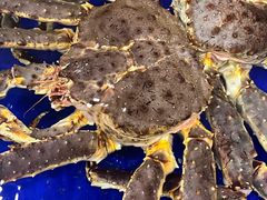 -渔民新村(番禺总店)