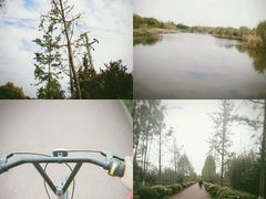 -白鹭湾湿地公园