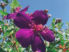 -优游吧斯邹族文化部落