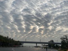 -宝安西湾红树林湿地公园