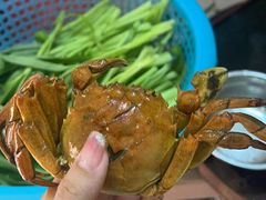 -荷花泰菜(东方新天地店)