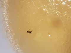 -四季合味椰子鸡(南山大冲店)
