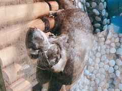 -南昌融创海世界