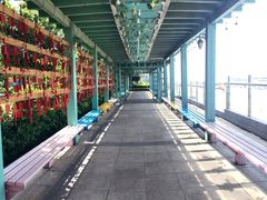 -巨鹏飞梦幻海岸