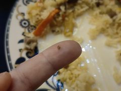 -伊带伊路新疆美食府(呼家楼店)