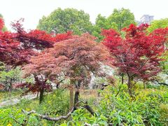 -南汇桃花村