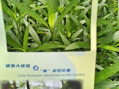 -广州花园酒店-凌璇阁360度高空海鲜自助餐CAROUSEL