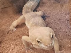 -哈尔滨北方森林动物园