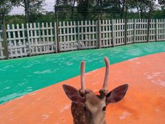 -白鹿原影视城