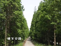 -南汇嘴观海公园