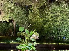 -曲水兰亭(北京四惠店)