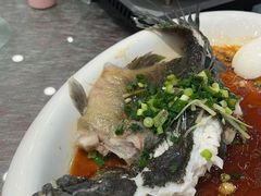 -南海食街(佛冈店)