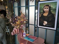 -喵屿·大理花园猫咖