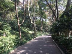 -杭州半山国家森林公园