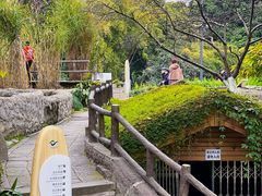 -成都市活水公园