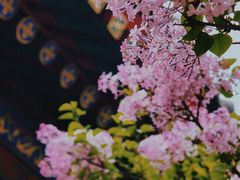 -西安市广仁寺
