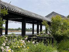 -梁鸿国家湿地公园