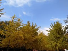 -辽宁大学(崇山校区)