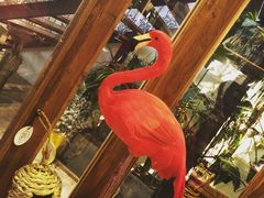 -RGF(巨鹿路店)